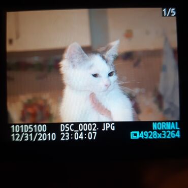 Fotokameralar: Nikon D5100 DSLR fotoaparat dəsti - Korpus: Nikon D5100 - Ekran — 14