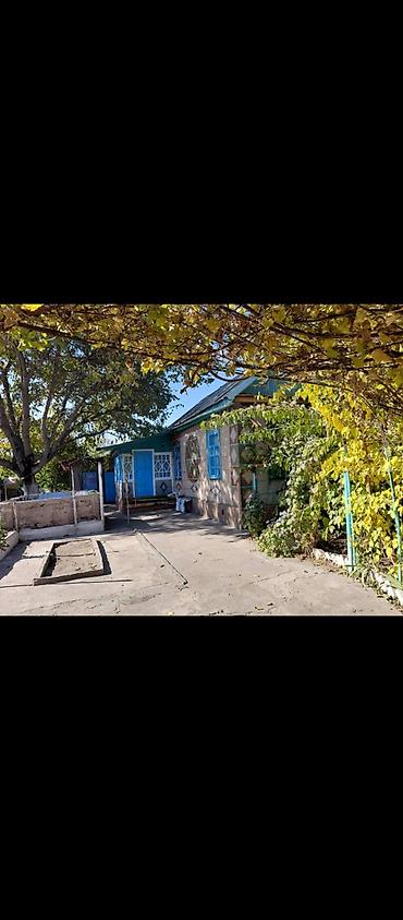 фрезия с теплицы: 4 комнаты, 10 м², 10 соток, Орловка, Собственник — 2