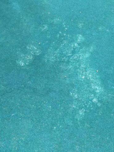 Бильярдные столы: Продаю бильярдный стол размер 3.25*1.95(не китайский,не мрамор)дерево — 7