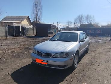 Nissan: Nissan Maxima: 2000 г., 3 л, Механика, Газ, Седан — 3