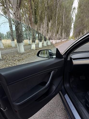 Tesla: Tesla Model 3: 2018 г., 0.1 - engine capacity л, Автомат, Электромобиль, Седан lalafo.kg да — 8 Tesla: Tesla Model 3: 2018 г., 0.1 - engine capacity л, Автомат, Электромобиль, Седан — 8