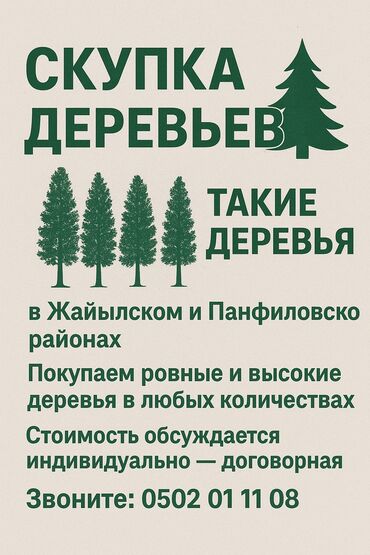 дом ковров бишкек: Скупка деревьев 🌳 Покупаем ровные и широкие деревья для мебельных