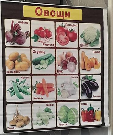 Reklam lövhələri: Uşaq bağçalarda tədris üçün və ibtidai təhsil üçün rus dilində olan — 2