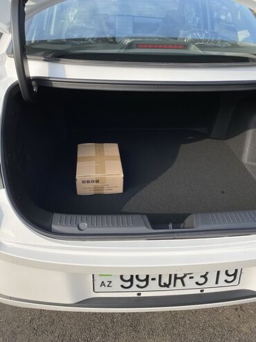 Voyah: Voyah 1.5 l — 10