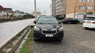 Subaru: Subaru Forester: 2019 г., 2.5 л, Автомат, Бензин, Внедорожник