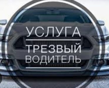 химичиска авто: Трезвый водитель