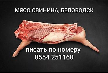 Свинина, Беловодск. Тушки от 40 до 60 кг, передок 330сом., задок