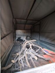 Прицепы и полуприцепы: Прицеп, Special trailer, Тентованный, до 3,5 т, Б/у — 8