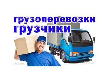 Портер, грузовые перевозки: Delivery of coal, sand, crushed stone, black earth, Regional transportation, without loader