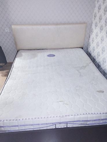 Pulsuz: Pulsuz.Işlenmiş carpayi — 3