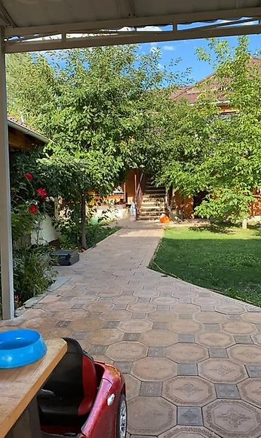 Продажа коттеджей и домов: 🏡 ПРОДАЁТСЯ УЮТНАЯ ДАЧА В СЕЛЕ АРАШАН! 🌿✨ 💰 Цена: 165 000 $ 📍 — 5