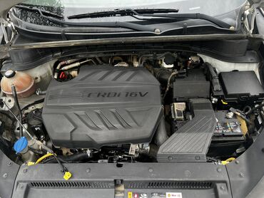 туксон 2018: Hyundai Tucson: 2019 г., 2 л, Автомат, Дизель, Кроссовер