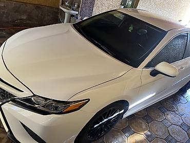 cha: Toyota Camry: 2020 г., Седан — 1