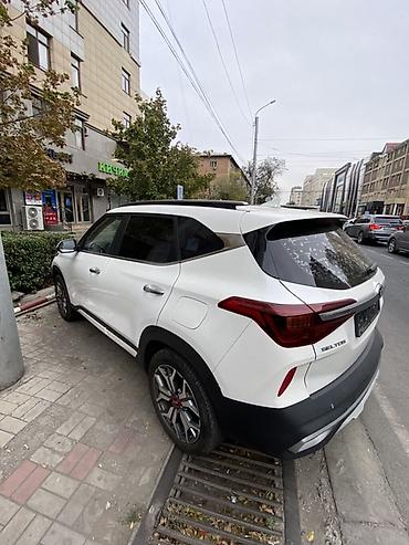 kia seltos: Kia Seltos: 2020 г., 1.6 л, Робот, Бензин, Кроссовер — 4