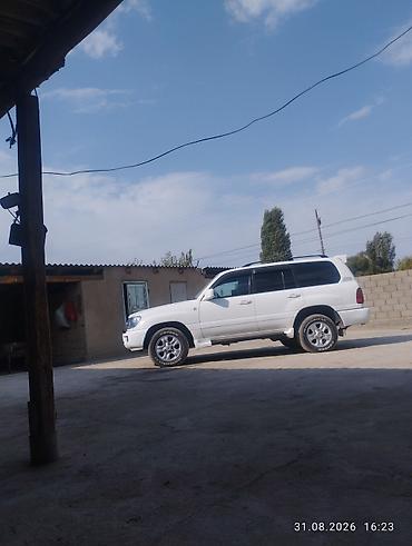 мото бокс: Toyota Land Cruiser: 2026 г., Внедорожник — 1