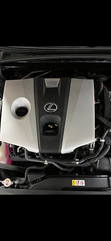 Lexus: Lexus ES: 2019 г., Седан — 7