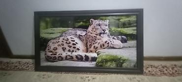 Картина/постер в раме: снежный барс - Изображение: крупный план