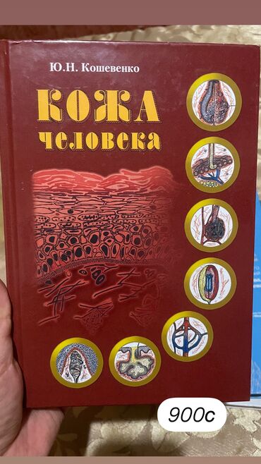 каласка новый: Книга в новом состоянии 
900с