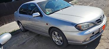 ноздри е36: Nissan Primera: 2000 г., 1.8 л, Механика, Бензин, Седан — 2