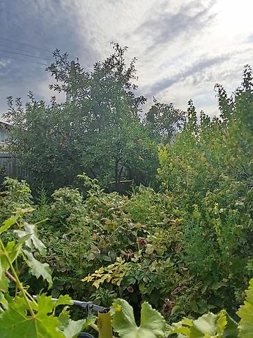 Продажа коттеджей и домов: Продам дом в Канте. - Одноэтажный дом с белым фасадом, пластиковыми — 15