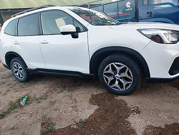 домик авто: Subaru Forester: 2019 г., 2.5 л, Автомат, Бензин, Кроссовер — 1