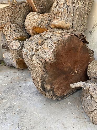 dekor odun: Təbii ağac kötükləri və odun parçaları Diametr 35-40sm - Nəhəng və — 4