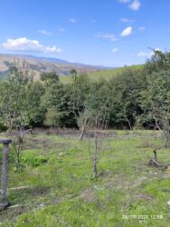 Həyət evləri və villaların satışı: Lerikin Noda kendinde. Heyet evi satilir. asfalta 2 degigelik yol — 7