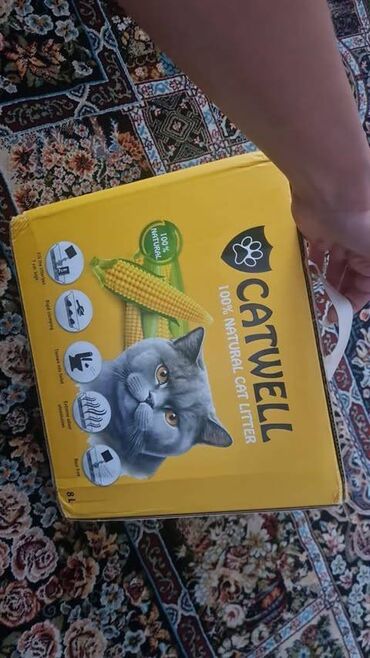 pişik cütleşdirme: Самка