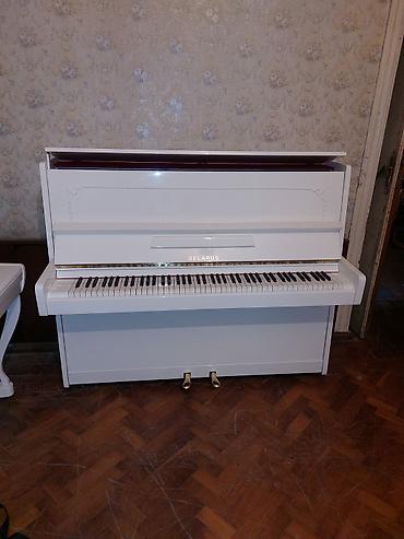 Musiqi alətləri: Piano, Belarus, Akustik, Yeni, Pulsuz çatdırılma — 2