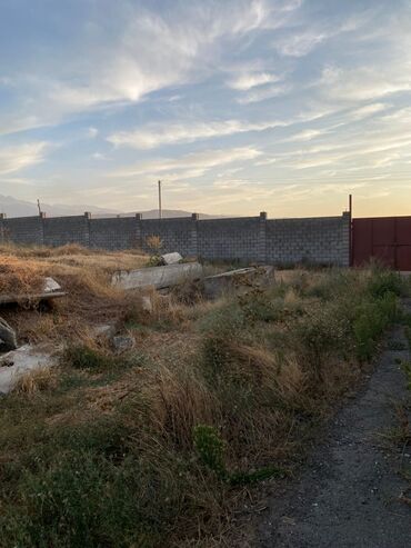 Продажа участков: 100 соток, Красная книга — 3