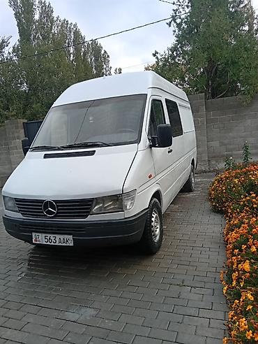эшаки: Mercedes-Benz Спринтер: 1996 г., 2.9 л, Механика, Дизель, Фургон — 1