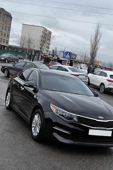 spark 2018: Kia Optima: 2018 г., 2.4 л, Автомат, Бензин, Седан — 3