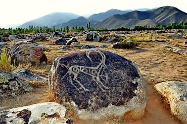 Иссык-Куль 2026: Номер, Чолпон-Ата — 12