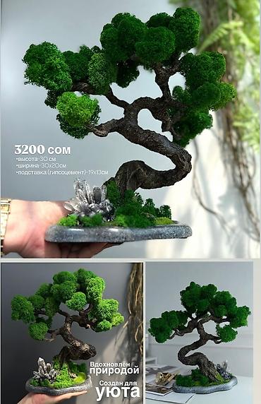 Другой декор и предметы интерьера: Декоративное дерево бонсай, выполненное из стабилизированного мха — 8