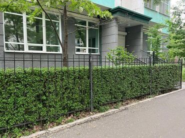 дом под квартиру: Сдаю Офис, 150 м², 1 линия