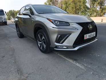 фара nx: Lexus NX: 2021 г., 2 л, Автомат, Бензин, Внедорожник