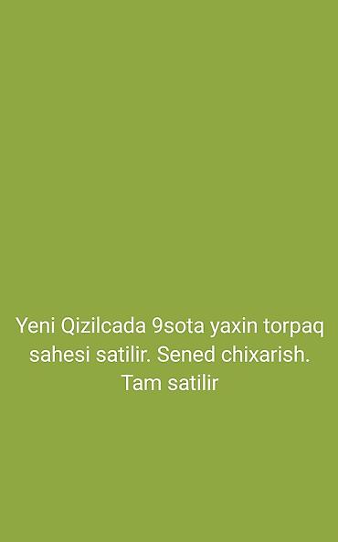 torpag sahesi: 9 sot, Tikinti, Kupça (Çıxarış) — 1