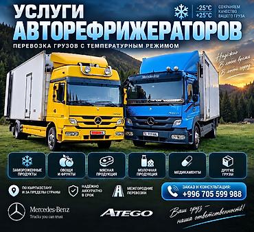 замороженная вишня: 🚛 АВТОРЕФРИЖЕРАТОРЫ — УСЛУГИ ПО ПЕРЕВОЗКЕ ❄️ Перевозка грузов с — 1