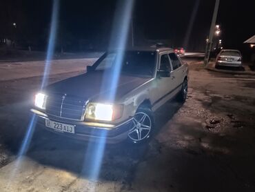 Mercedes-Benz: Mercedes-Benz W124: 1989 г., 2 л, Механика, Бензин, Седан