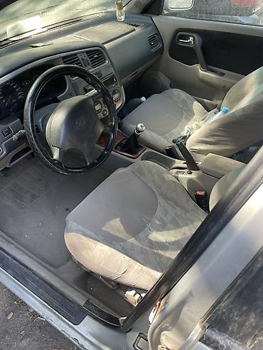 maxima j30: Nissan Primera: 1999 г., Механика, Бензин, Седан — 3