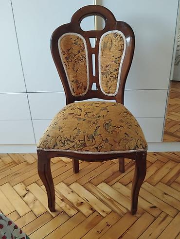 debli kurtkalar: Stul 1 ədətdir — 3