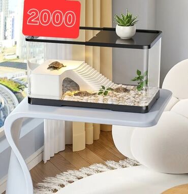 где купить водоросли для аквариума: Продаю аквариум - террариум . С террасой, крышкой. Новый