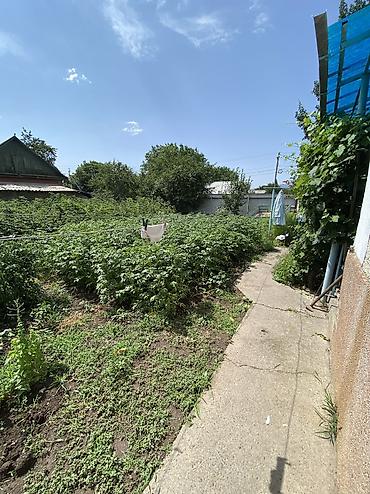Продажа коттеджей и домов: Продается дом, г. Орловка 8 соток На участке: •Баня(новая) •Сарай — 9