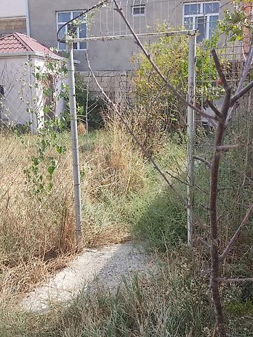 Torpaq sahələrinin satışı: Tikinti, Kupça (Çıxarış) -da lalafo.az — 14 Torpaq sahələrinin satışı: Tikinti, Kupça (Çıxarış) — 14
