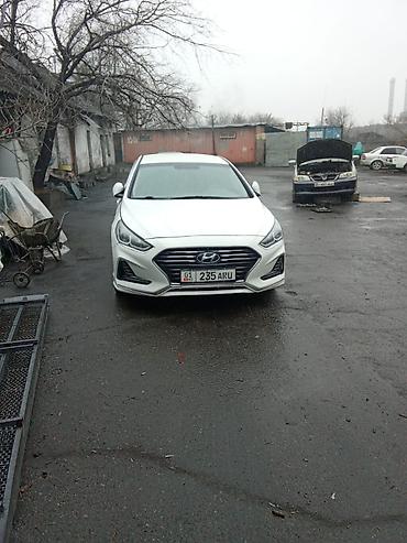 соната жёлтый: Hyundai Sonata: 2018 г., 2 л, Газ, Седан — 1