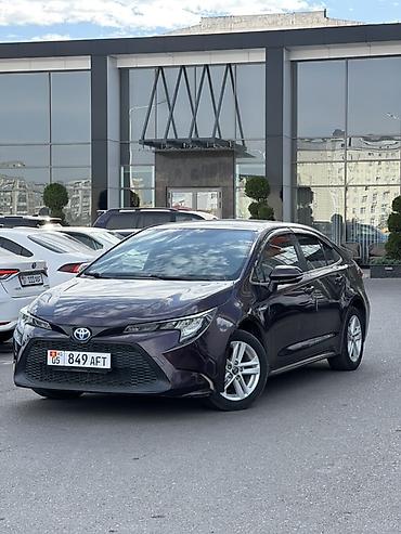 levin: Toyota Corolla: 2020 г., 1.8 л, Вариатор, Гибрид, Седан — 1