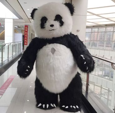 dekor biznesi: Diqqət toplamda 10-15 İşə girib ‼️Qiymət Sondur. Panda Möhtəşəm