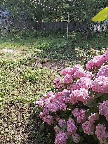 nesimi rayonunda satilan heyet evleri: Vəndam, 4 kv. m, 3 otaqlı, Hovuzsuz, İnternet, Telefon, İşıq — 1
