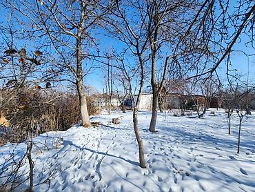 токмок кун чыгыш: 5 соток, Курулуш, Сатып алуу-сатуу келишими — 5