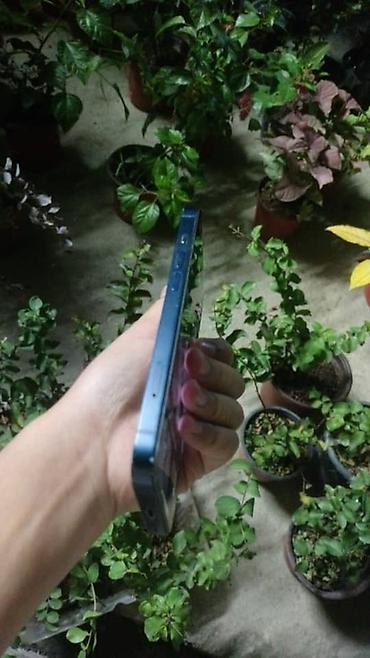 кел кел: IPhone 13, Колдонулган, 128 ГБ, Көк, Коргоочу айнек, Каптама, 81 % — 4